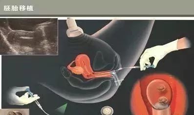 健闻医疗